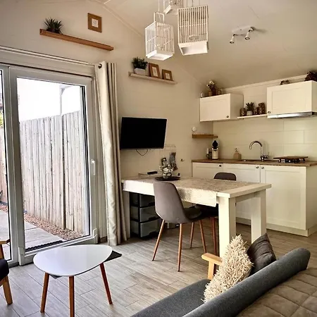 公寓 Coast Dirkshorn